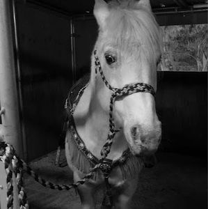 Meet your Posher, Lillian